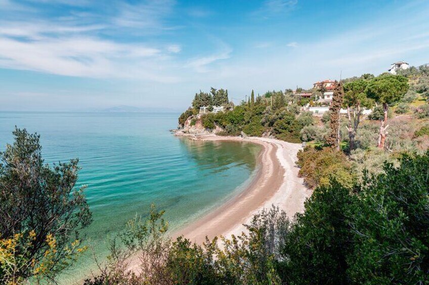 A coastal landscape with a curved sandy beach, clear turquoise waters, and a backdrop of trees and buildings. 1