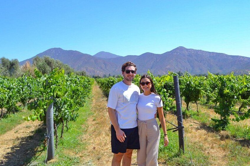 Valparaíso, Viña del Mar & Emiliana Organic Vineyard 3