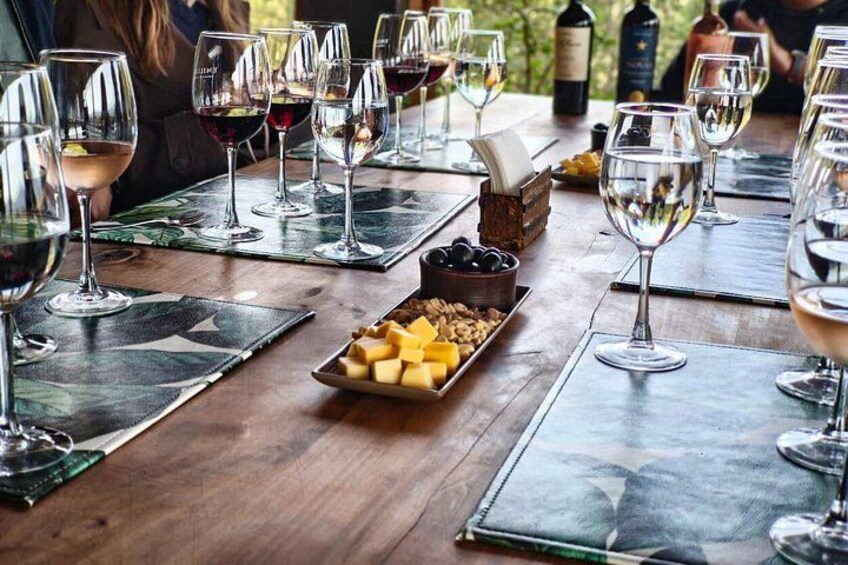 Valparaíso, Viña del Mar & Emiliana Organic Vineyard 2
