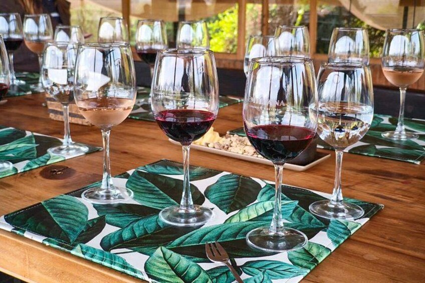 Valparaíso, Viña del Mar & Emiliana Organic Vineyard 4