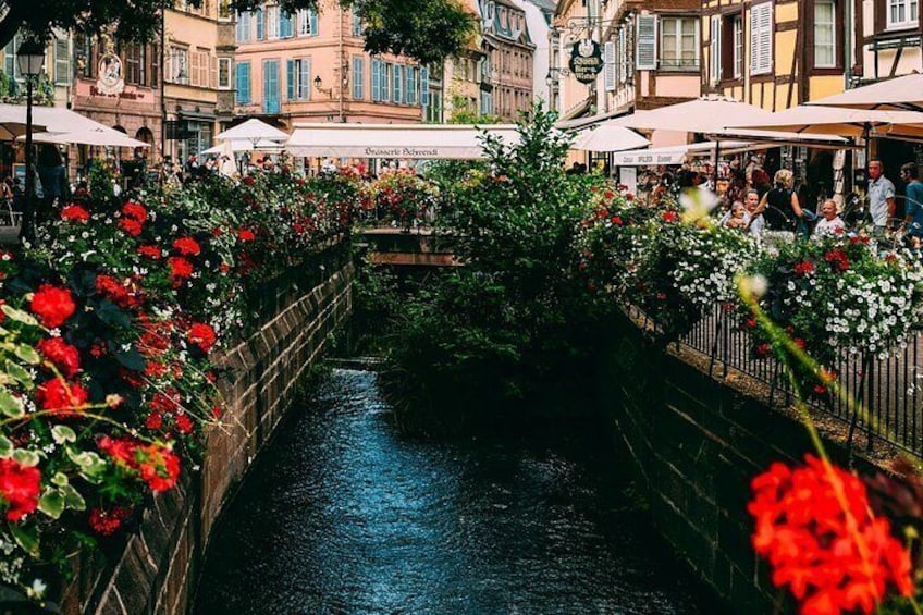 Half-day small group tour from Colmar to castle,Riquewihr 5