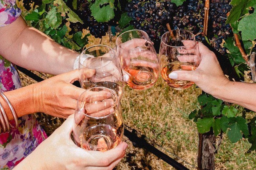 Personas sosteniendo copas de vino en un viñedo. 2