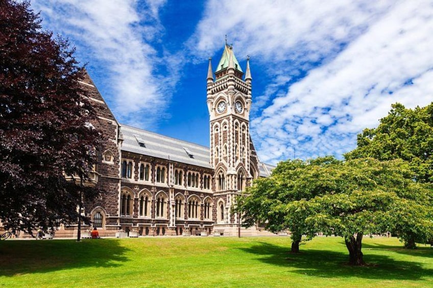 Private Shore Tour – Discover Dunedin & Otago Peninsula 3