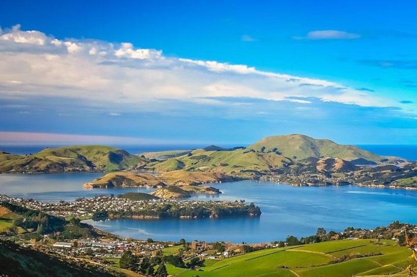Private Shore Tour – Discover Dunedin & Otago Peninsula 1