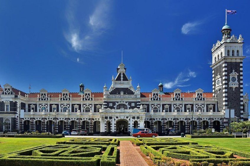Private Shore Tour – Discover Dunedin & Otago Peninsula 4
