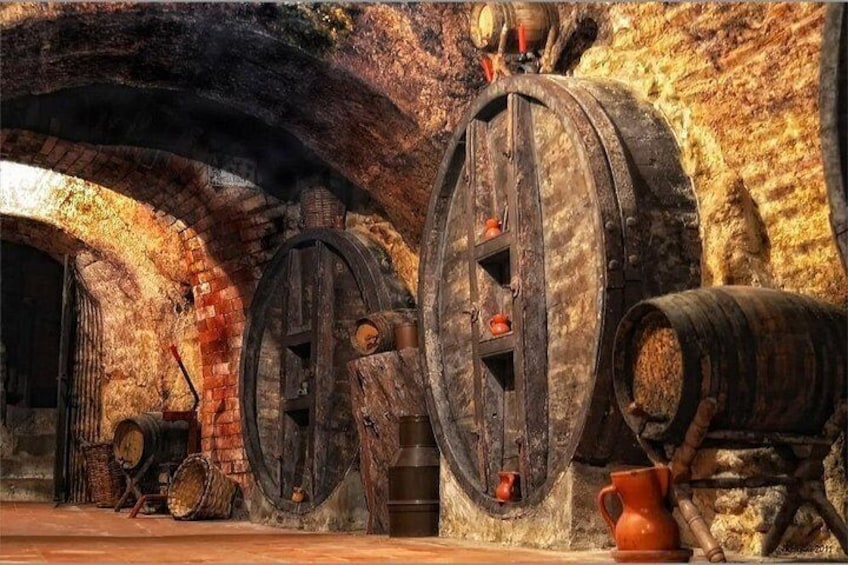 Ribera del Duero Underground Cellar & Wine Tasting Experience 3
