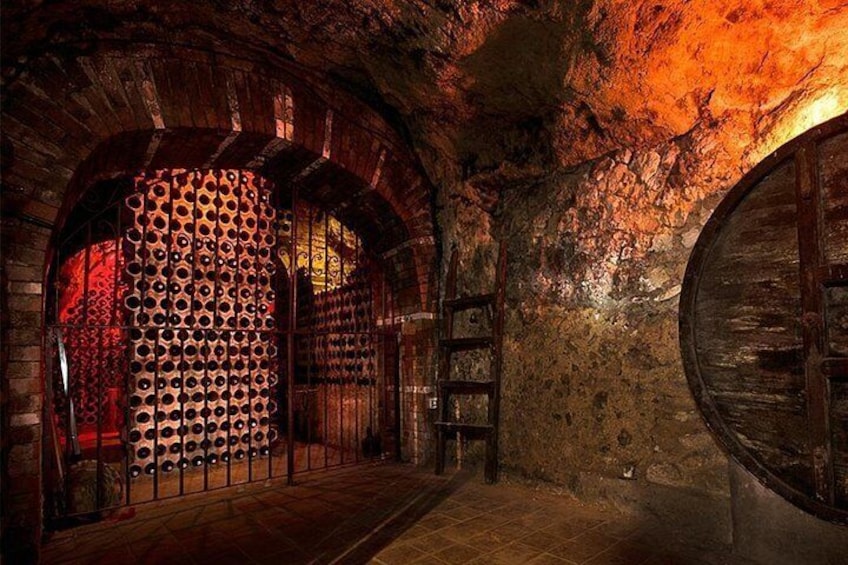 Ribera del Duero Underground Cellar & Wine Tasting Experience 5