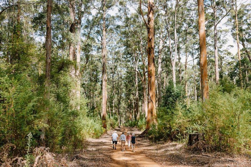 Private Margaret River Day Tour from Perth 2