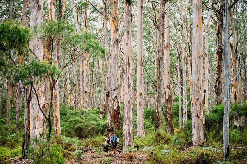 Private Margaret River Day Tour from Perth 3