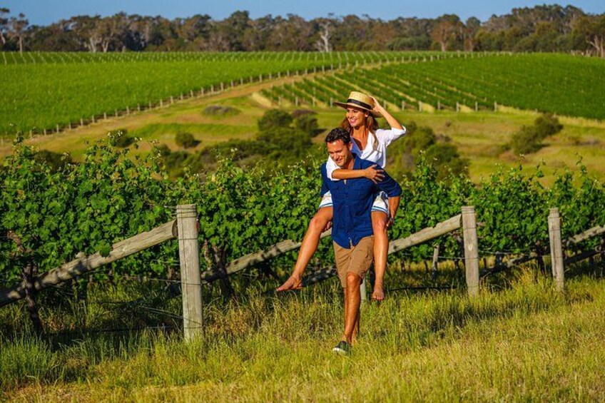 Private Margaret River Day Tour from Perth 1