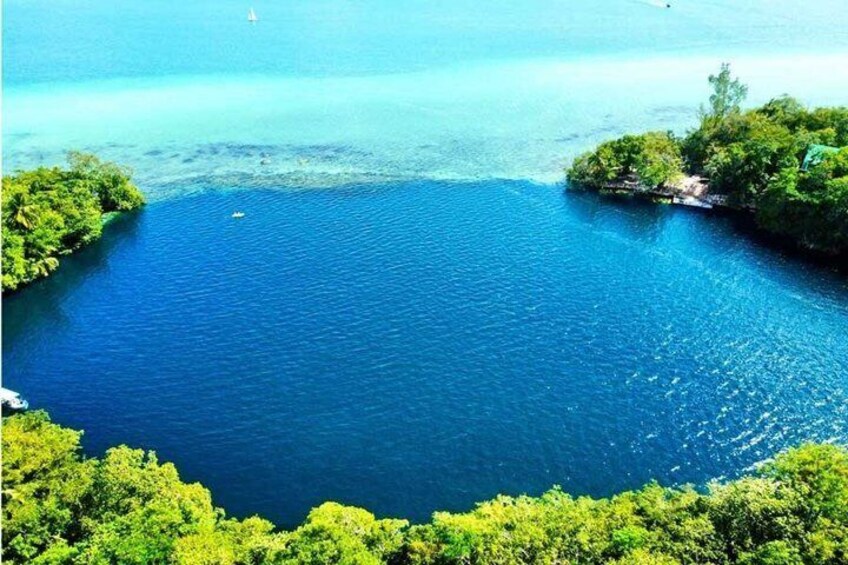 A large body of water surrounded by dense green foliage. 2