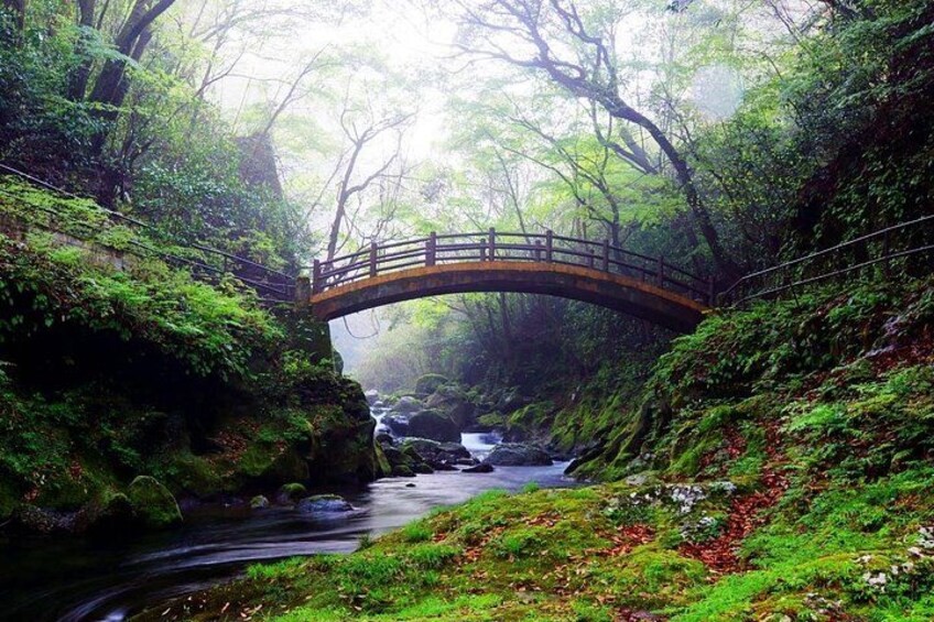 Day Trip From Mount Aso to Miyazaki with Boat Ride 5