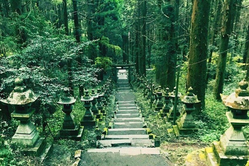 Day Trip From Mount Aso to Miyazaki with Boat Ride 3