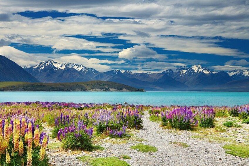 Queenstown to Lake Tekapo: One-Way Scenic Private Transfer 1