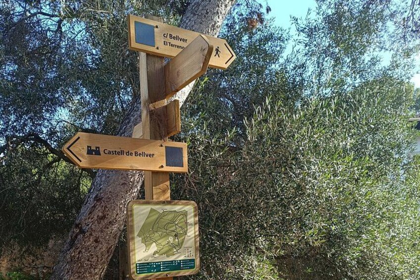 Palma Forest and Old Town E-bike tour and Bellver Castle Hike 1