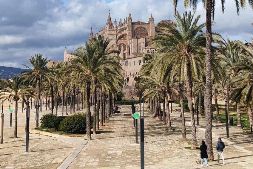Palma Forest and Old Town E-bike tour and Bellver Castle Hike 4