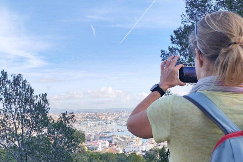 Palma Forest and Old Town E-bike tour and Bellver Castle Hike 2