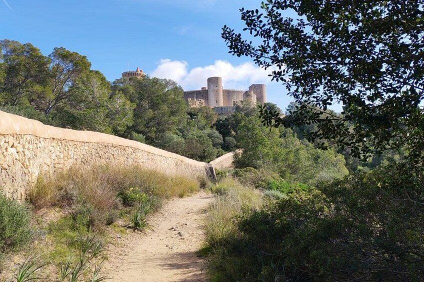 Palma Forest and Old Town E-bike tour and Bellver Castle Hike 4