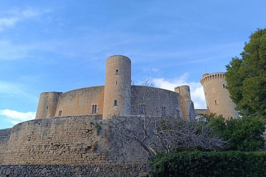 Palma Forest and Old Town E-bike tour and Bellver Castle Hike 2