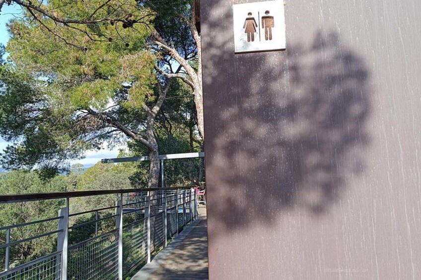 Palma Forest and Old Town E-bike tour and Bellver Castle Hike 3