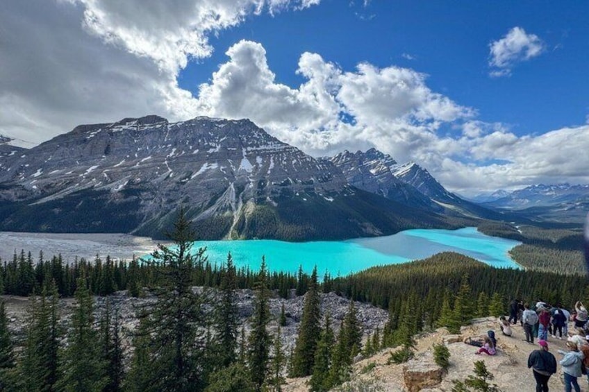 Banff/Jasper Parks, Icefields, Bow, Peyto lakes, small groups! 1