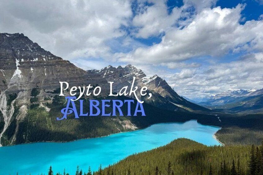 Banff/Jasper Parks, Icefields, Bow, Peyto lakes, small groups! 5