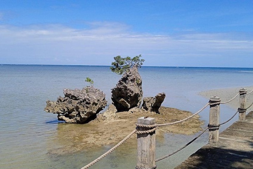 Private Tabon Cave Palawan and Museum tour 4