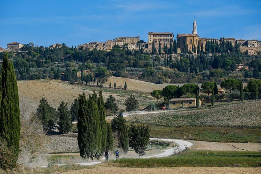 Water Road Skunk with Pienza in the background 4
