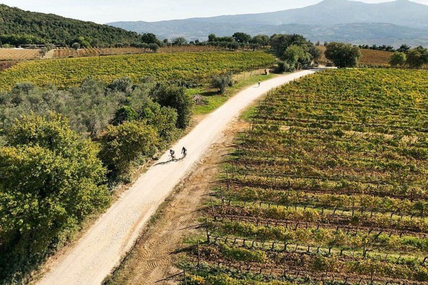 Road of Sesta to Montalcino 3