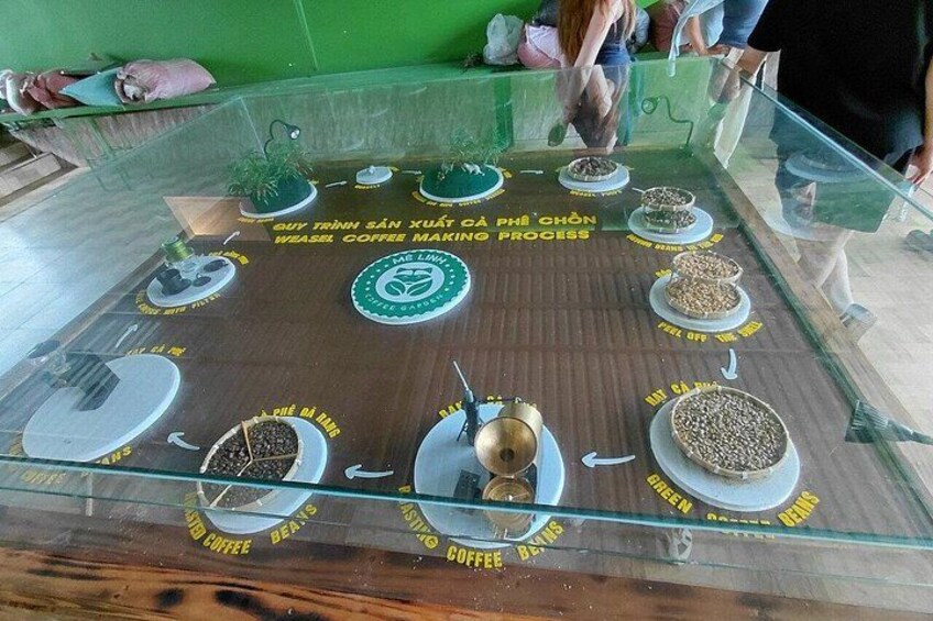 A coffee bean display with text in Vietnamese, a glass table, and potted plants. 2
