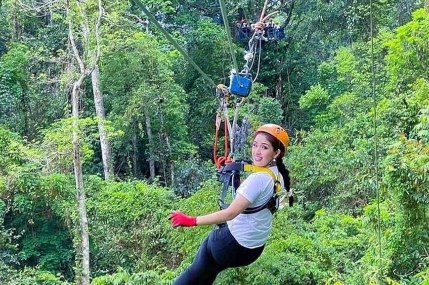 A person zip-lining through a forest with dense foliage. 5