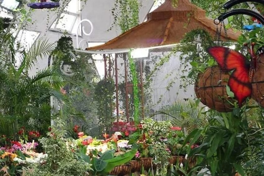 A greenhouse with various plants, a hanging chair, and a large red butterfly sculpture. 4