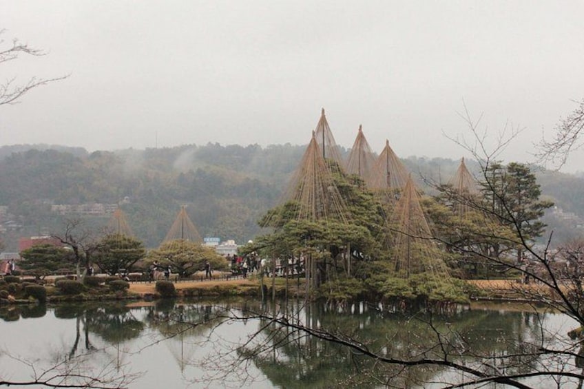 Kanazawa Walking Tour: Kenrokuen Garden and Higashi Chaya 4