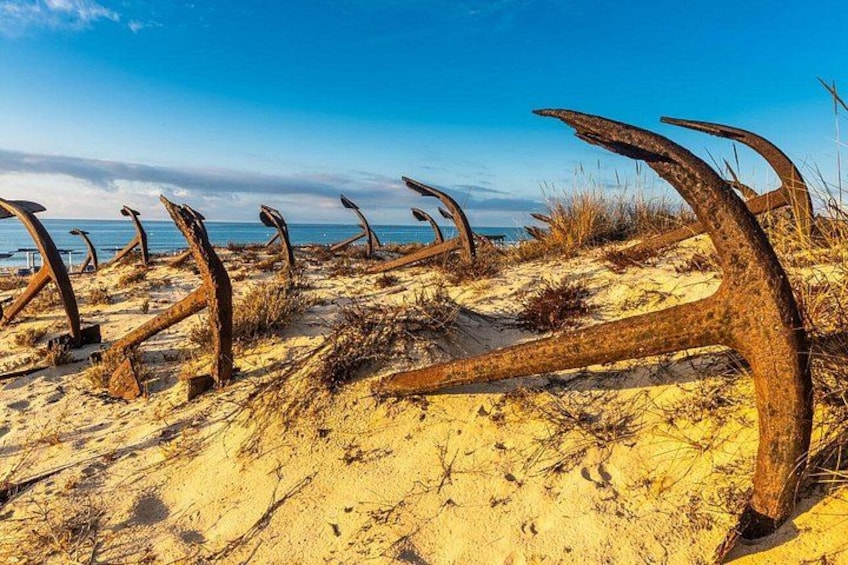 Une plage de sable où gisent des ancres rouillées. 2