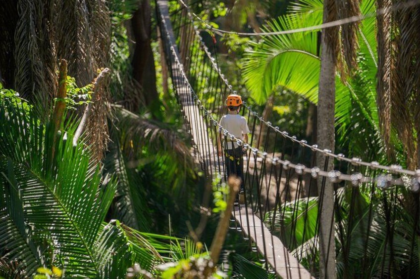 Bahia Mita Adventure Park 1