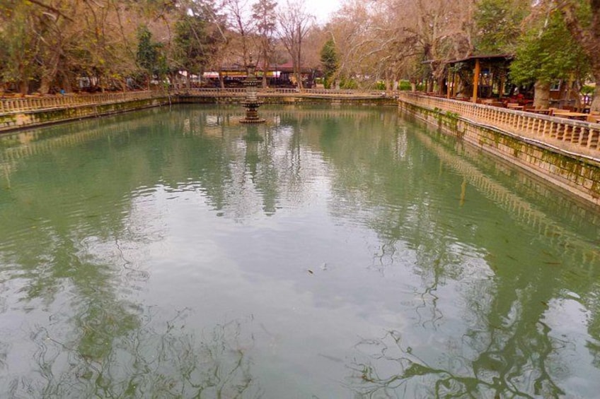 A calm pond with a central fountain, surrounded by trees and a wooden fence. 2