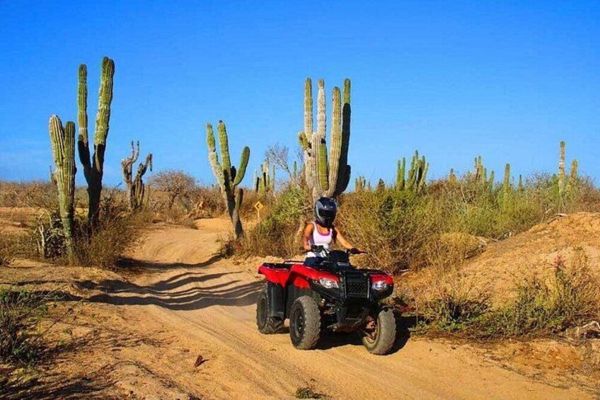 Los Cabos ATV, Sky Bike, and Tequila Tasting Combo 5