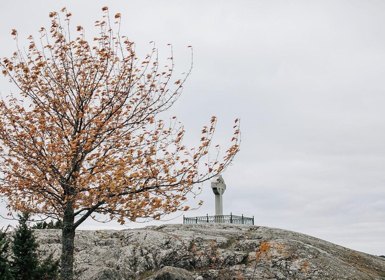 Picture 7 for Activity Birka: Viking City – Boat Trip from Stockholm City Hall 3