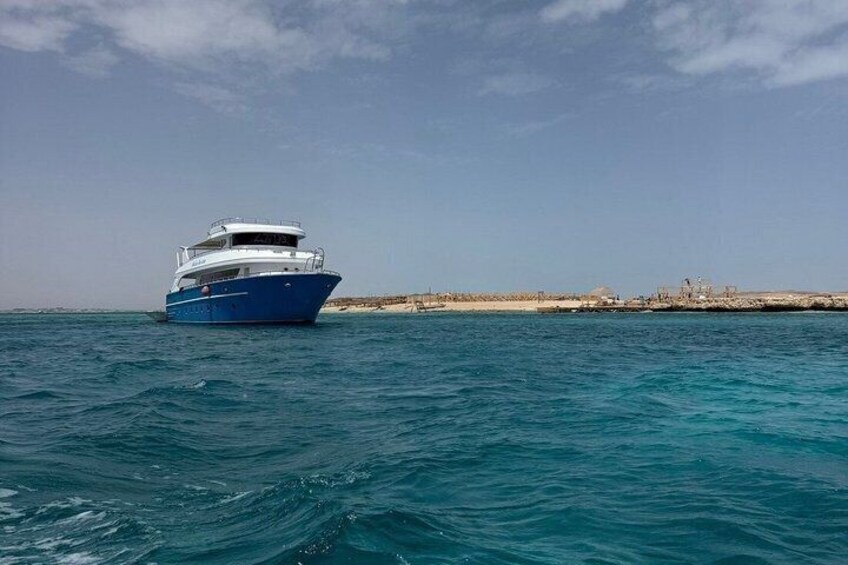 Luxury Orange Bay & Hula Hula Island Cruise with Snorkeling&Lunch 2