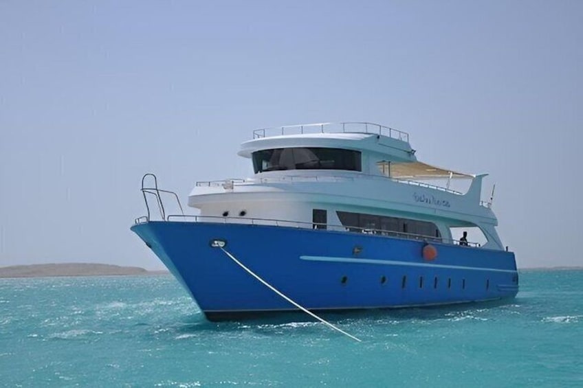 Luxury Orange Bay & Hula Hula Island Cruise with Snorkeling&Lunch 5
