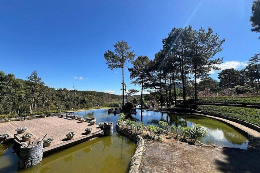 A serene lakeside park with a wooden dock, a small pond, and lush greenery. 5
