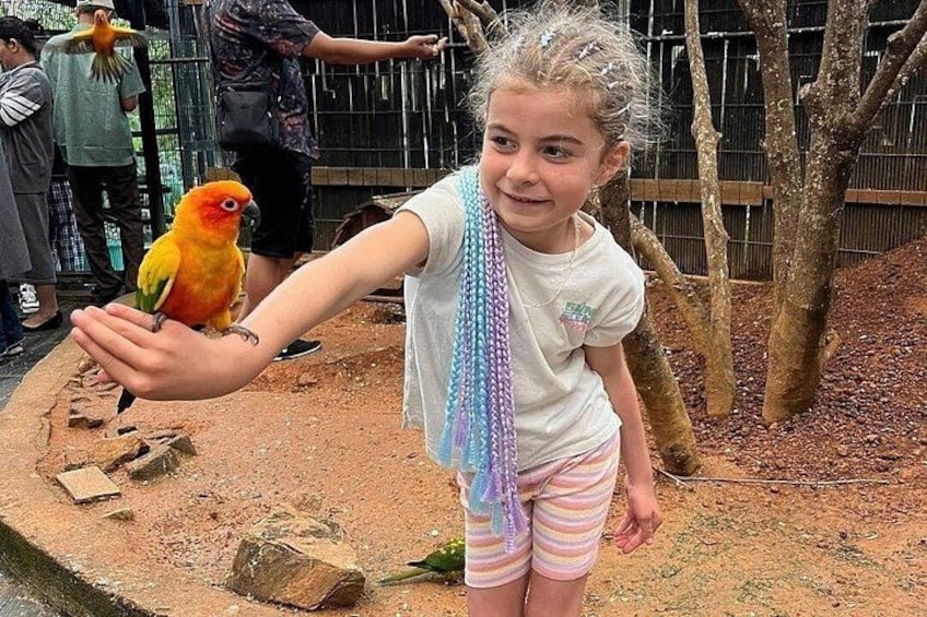 A person holding a colorful parrot. 3