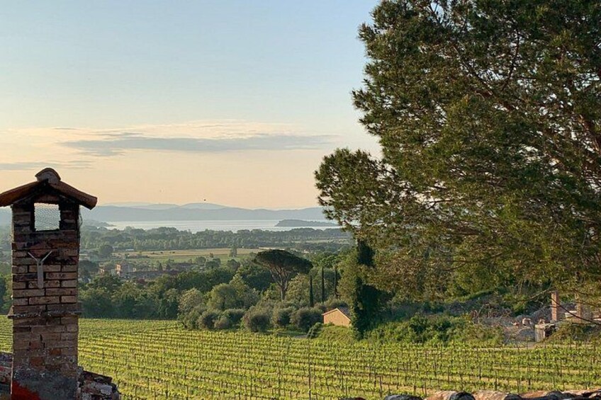 Discovering Montemelino Wine Experience by Lake Trasimeno 3