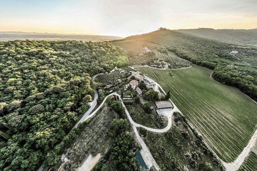 Discovering Montemelino Wine Experience by Lake Trasimeno 1