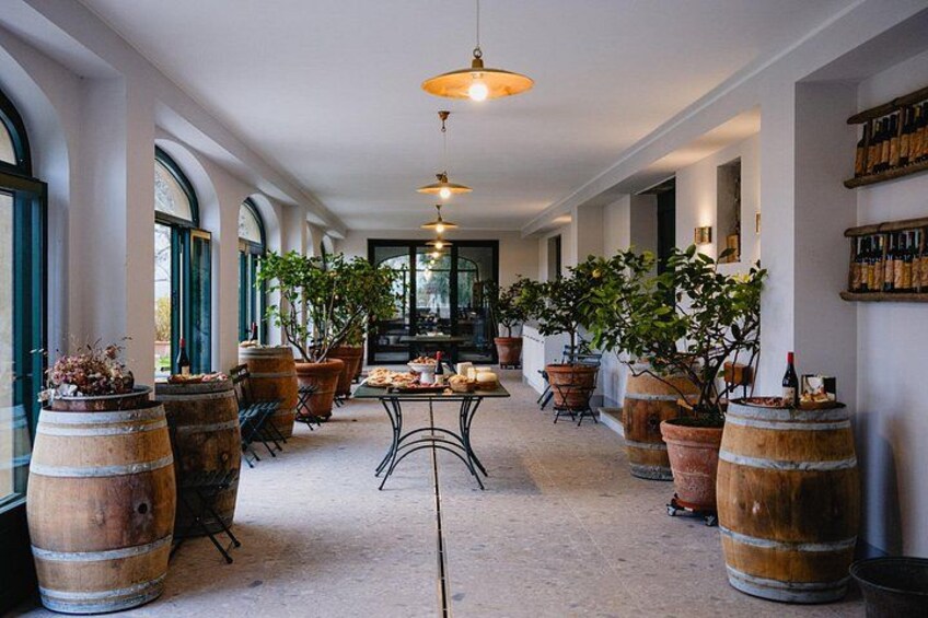 Discovering Montemelino Wine Experience by Lake Trasimeno 2