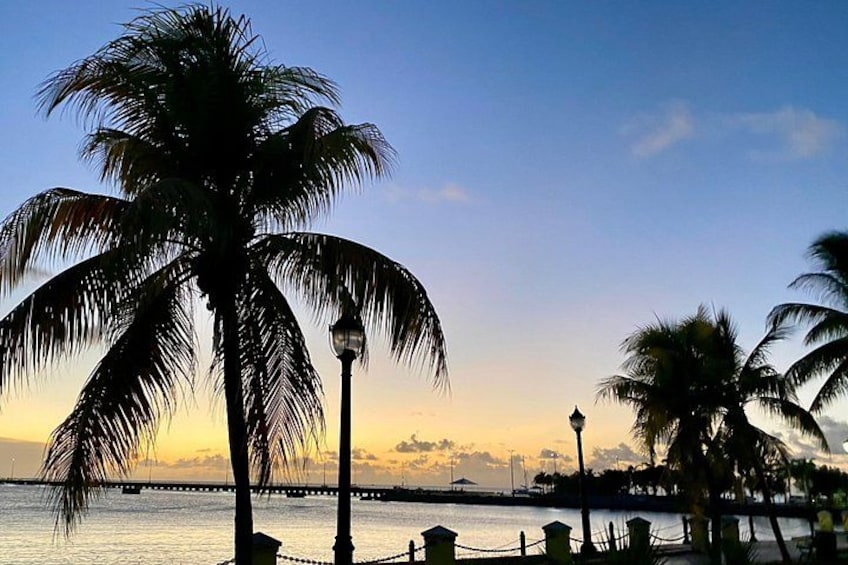 A sunset over a body of water with palm trees and a distant bridge. 4