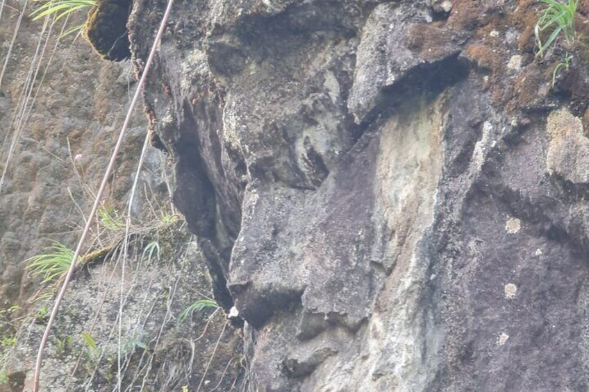 Une falaise rocheuse avec une étroite fissure. 2