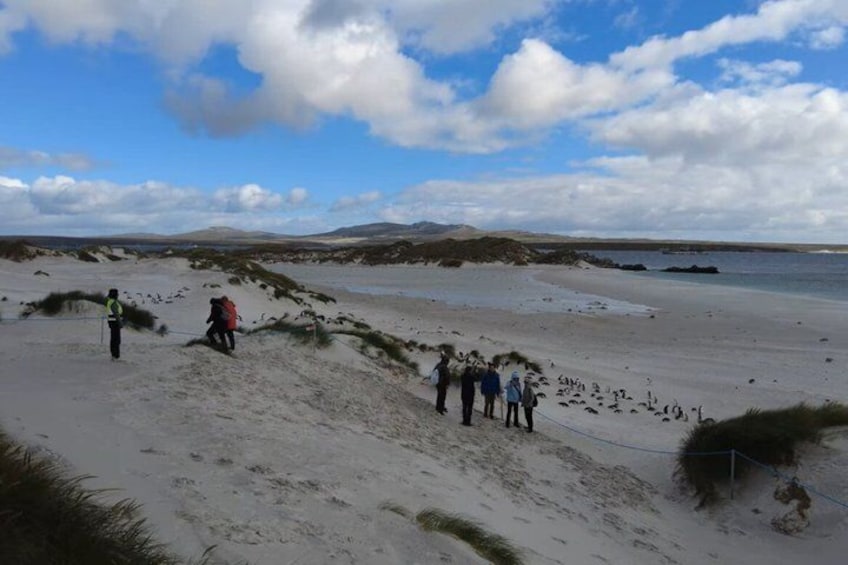 A sandy beach with people walking and a person in a red jacket. 4