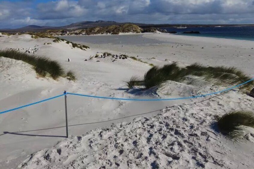 A sandy beach with dunes and a rope barrier. 3