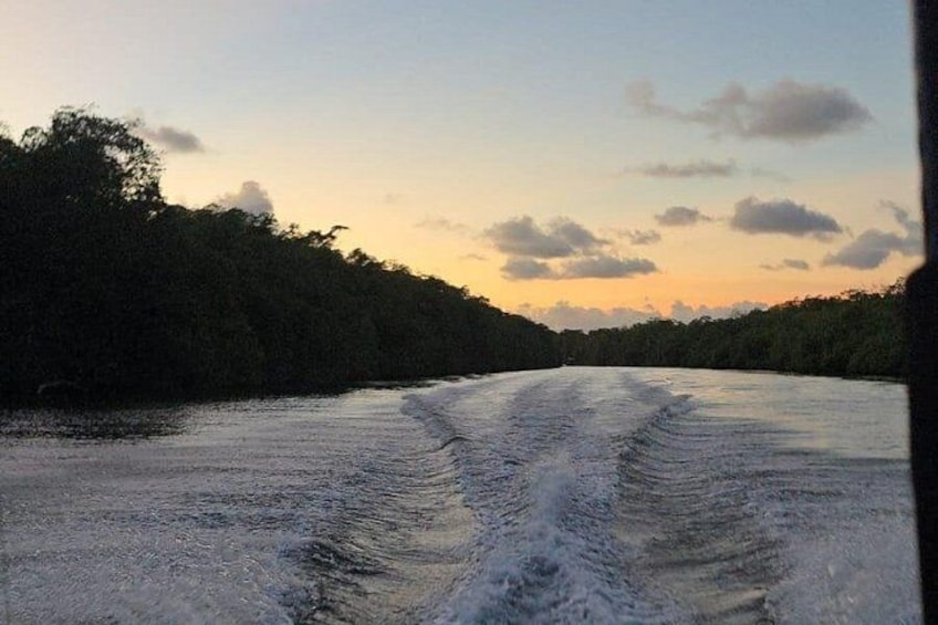 Une rivière dont les eaux sont agitées, bordée d’une forêt dense, au coucher du soleil. 2